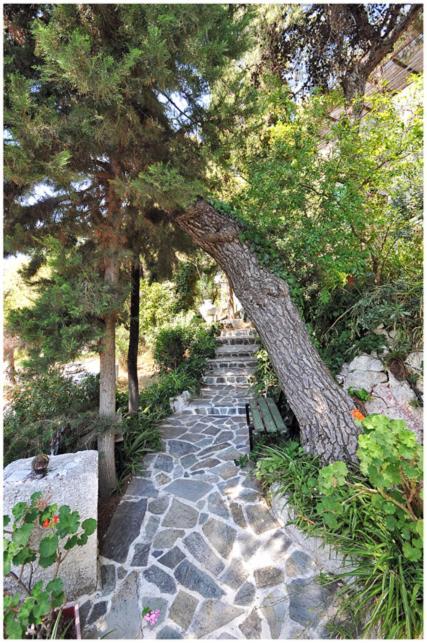 Apartment Poros Pine View Poros Town