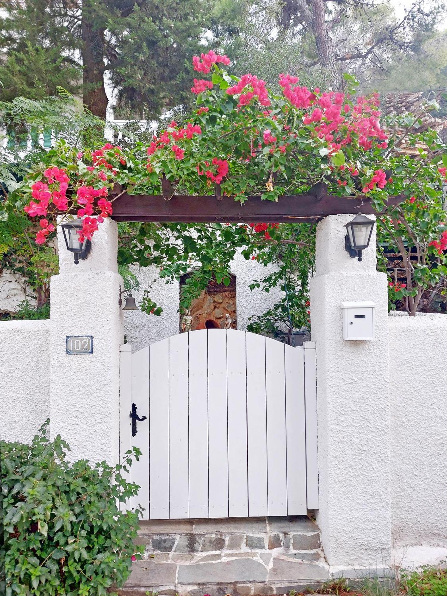 Poros Pine View Apartment